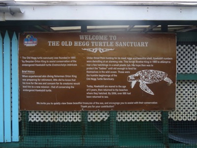 Old Hegg Turtle Sanctuary